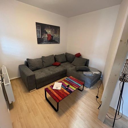 Apartment Napoleon, Naehe Zentrum, 2 Schlafzimmer, Grosser Balkon, Free Wifi ,Parken Єна Екстер'єр фото